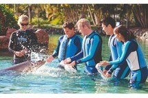 Sea World Gold Coast Sea World Gold Coast
